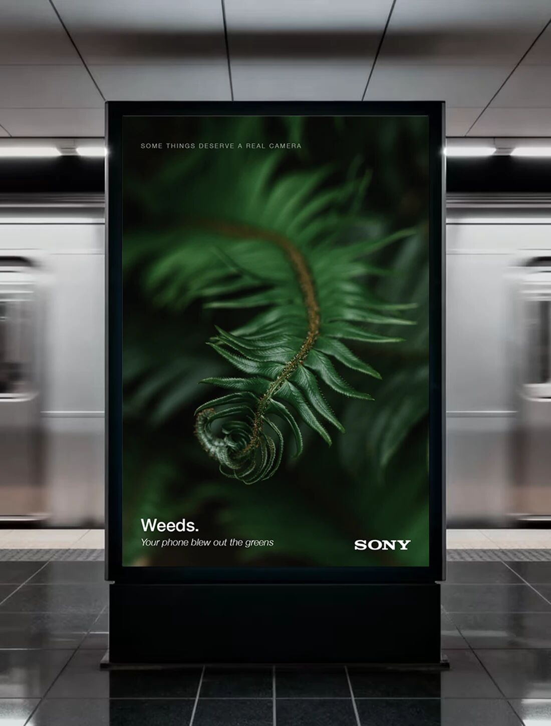 Sony poster in a subway station: a dark green fern frond curling in close-up, with the headline “Weeds. Your phone blew out the greens”